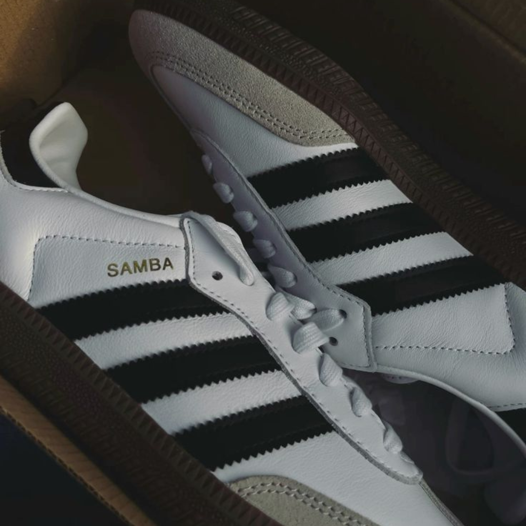 SAMBA OG WHITE